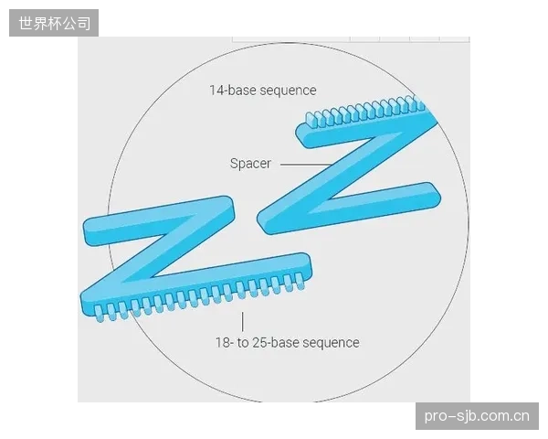 Scope3核算正将赞助商拽入赛事碳价评估体系,品牌连带责任边界扩大 Scope3核算正将赞助商拽入赛事碳价评估体系,品牌连带责任边界扩大